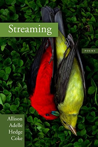 Allison Adelle Hedge Coke: Streaming (Paperback, Coffee House Press)